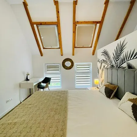 Dendro Apartment-free Parking Apartment Cluj-Napoca