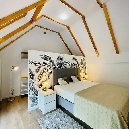 Dendro Apartment-free Parking Apartment Cluj-Napoca